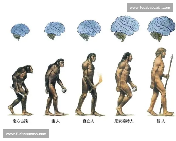 技术流足球的智慧进化与现代战术美学全解析与未来发展趋势深度